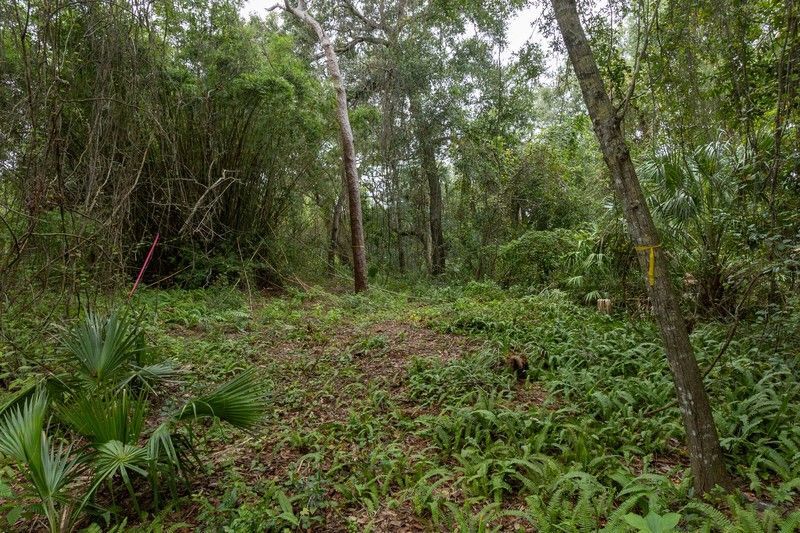 12511 Roseland Road, Sebastian, FL 32958 Photo