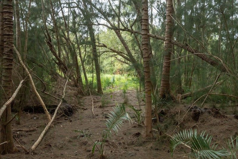 12511 Roseland Road, Sebastian, FL 32958 Photo