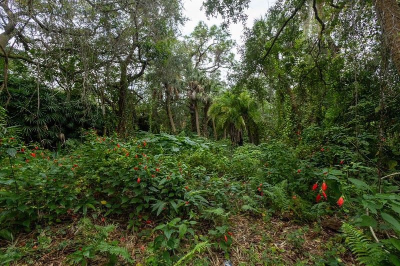 12511 Roseland Road, Sebastian, FL 32958 Photo