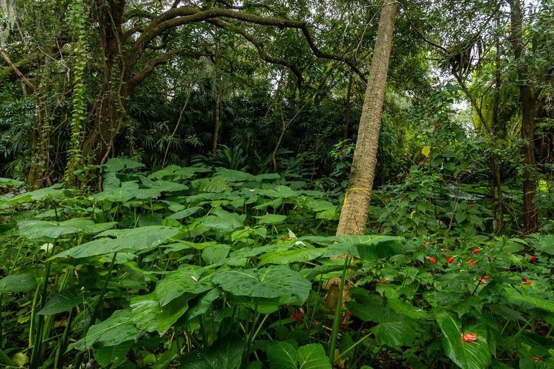 12511 Roseland Road, Sebastian, FL 32958 Photo