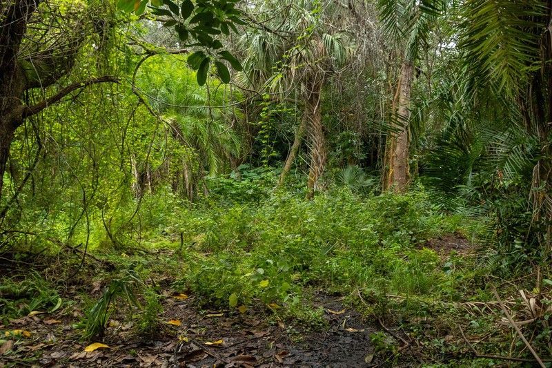 12511 Roseland Road, Sebastian, FL 32958 Photo