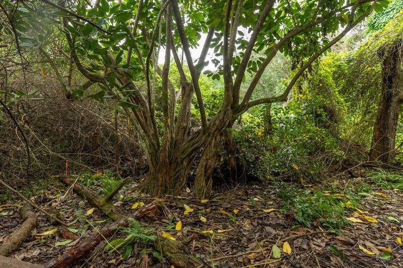 12511 Roseland Road, Sebastian, FL 32958 Photo