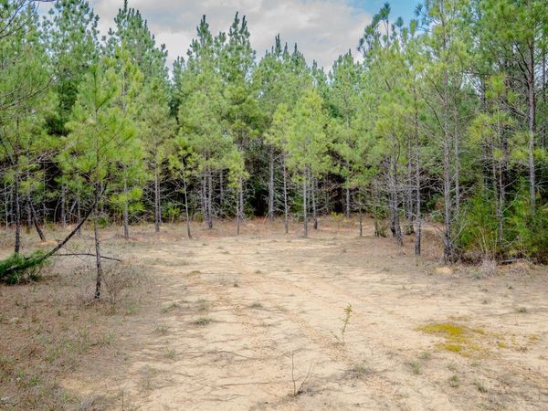 0000 Elijah Graham Road, Noxapater, MS 39346