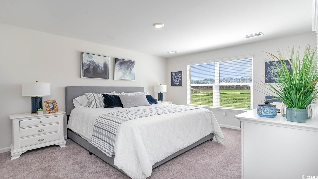 572 Strawberry Field Way Photo 12