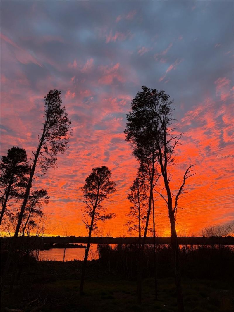 17044 Cavallo Drive, Montverde, FL 34756 Photo