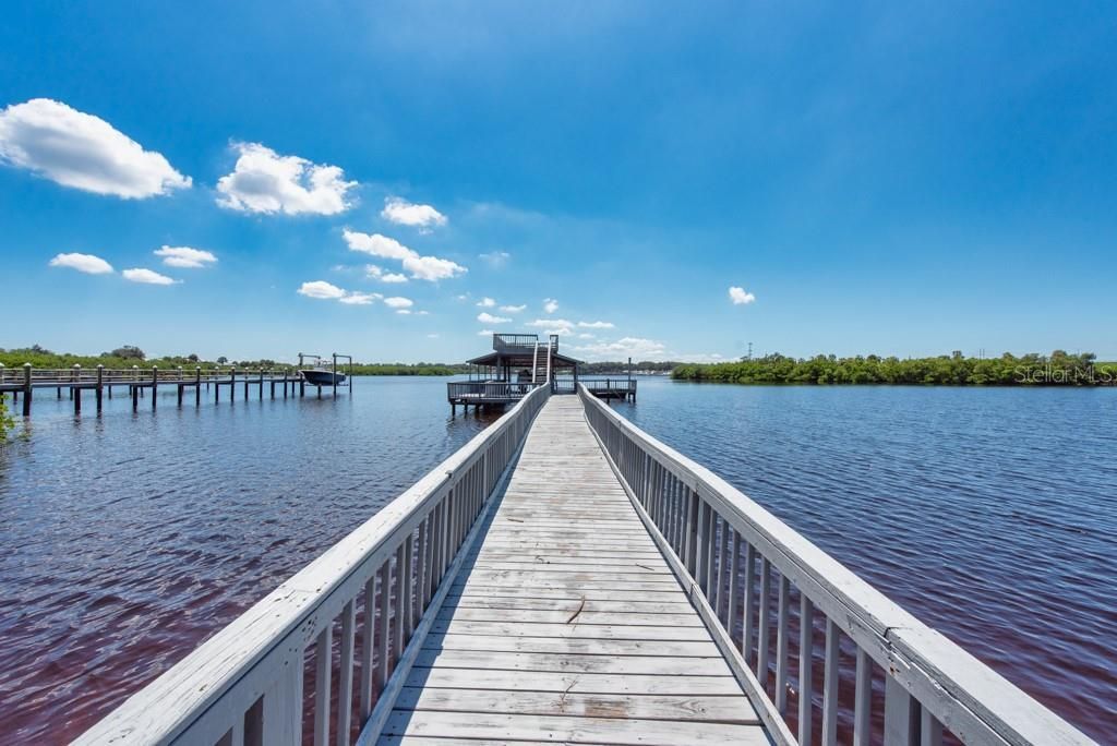 8820 S Hickory Lane, Riverview, FL 33578 Photo