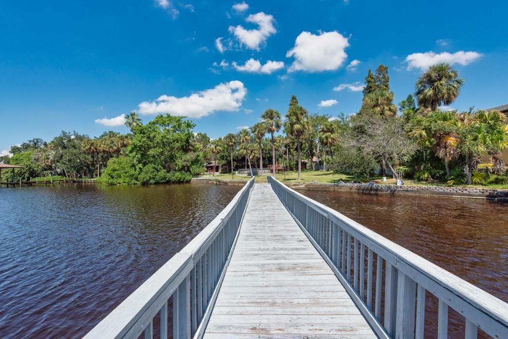 8820 S Hickory Lane, Riverview, FL 33578 Photo