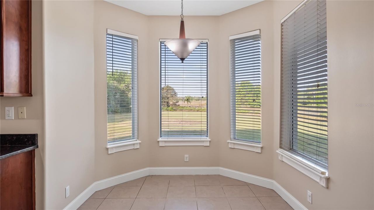 10651 Arrowtree Boulevard, Clermont, FL 34715 Photo