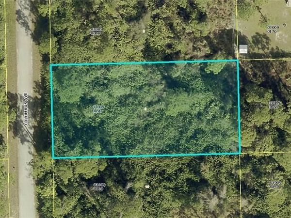 2006 Columbus AVE, ALVA, FL 33920