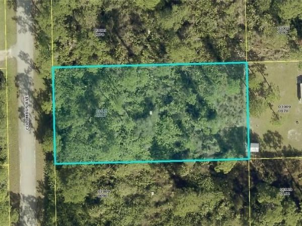 2008 Columbus AVE, ALVA, FL 33920