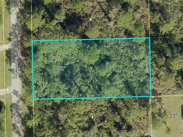 2010 Columbus AVE, ALVA, FL 33920