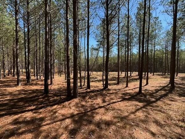 0 Worley Road, Soddy Daisy, TN 37379