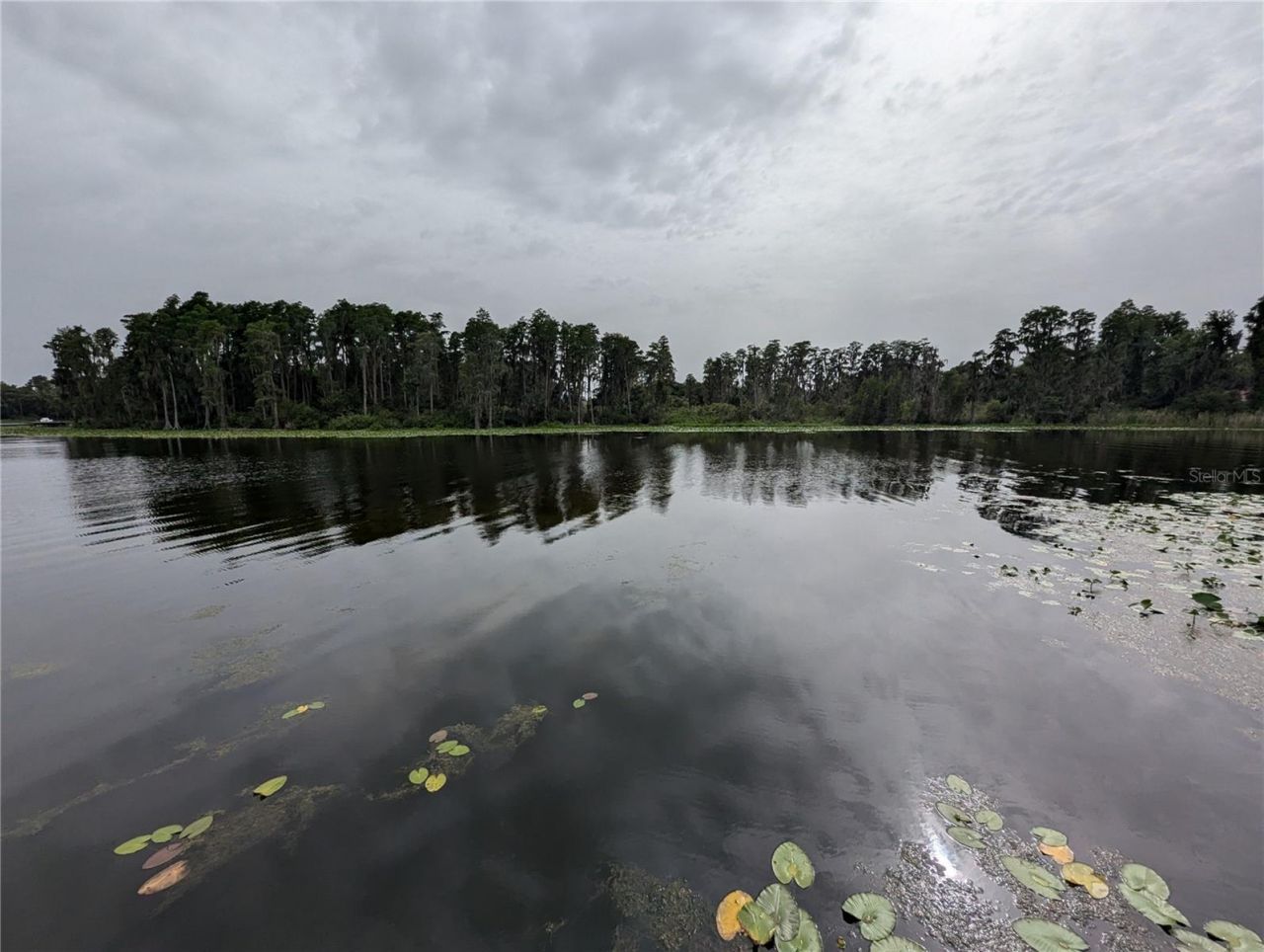 18302 Hanna Road, Lutz, FL 33549 Photo