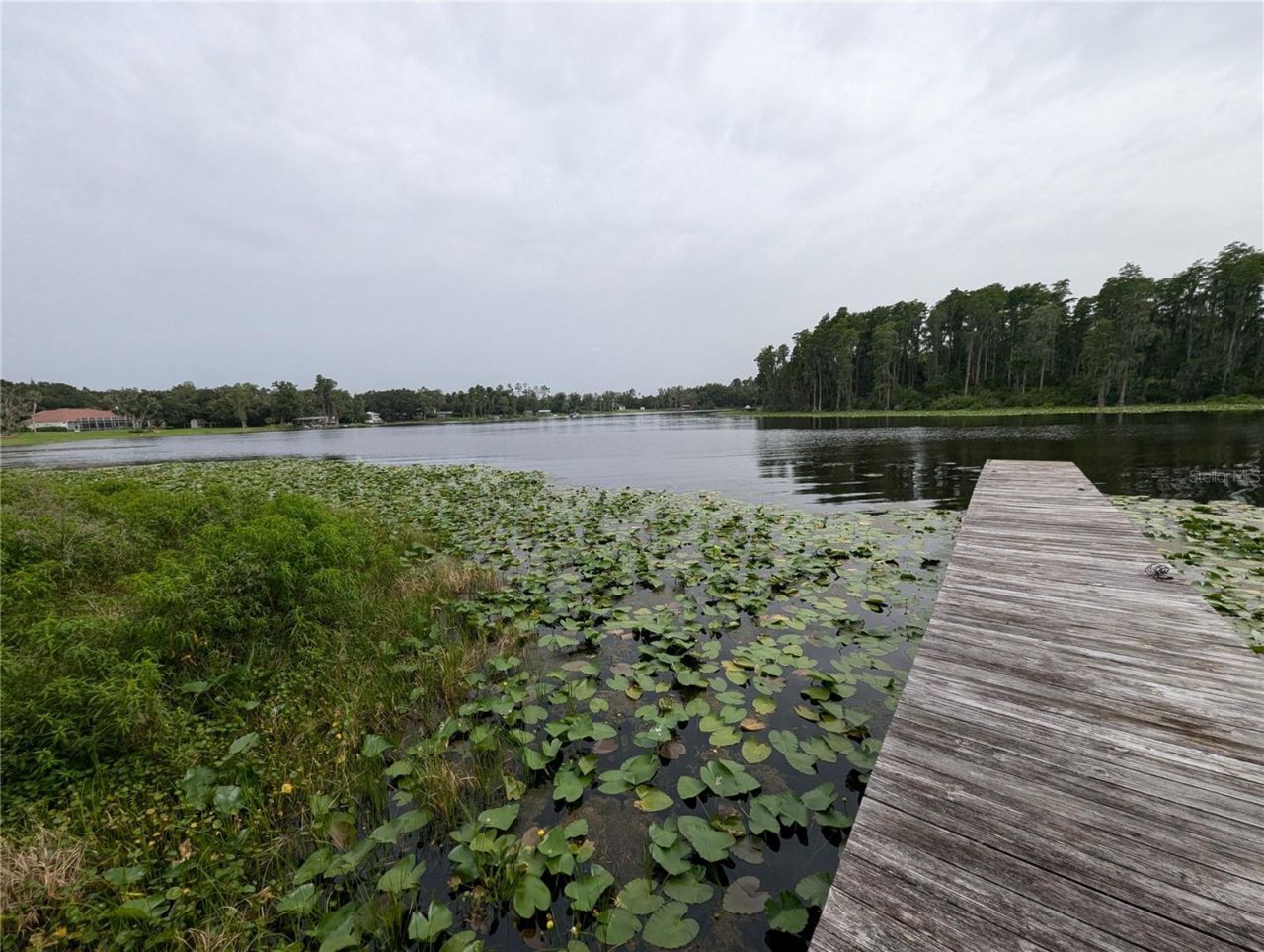 18302 Hanna Road, Lutz, FL 33549 Photo