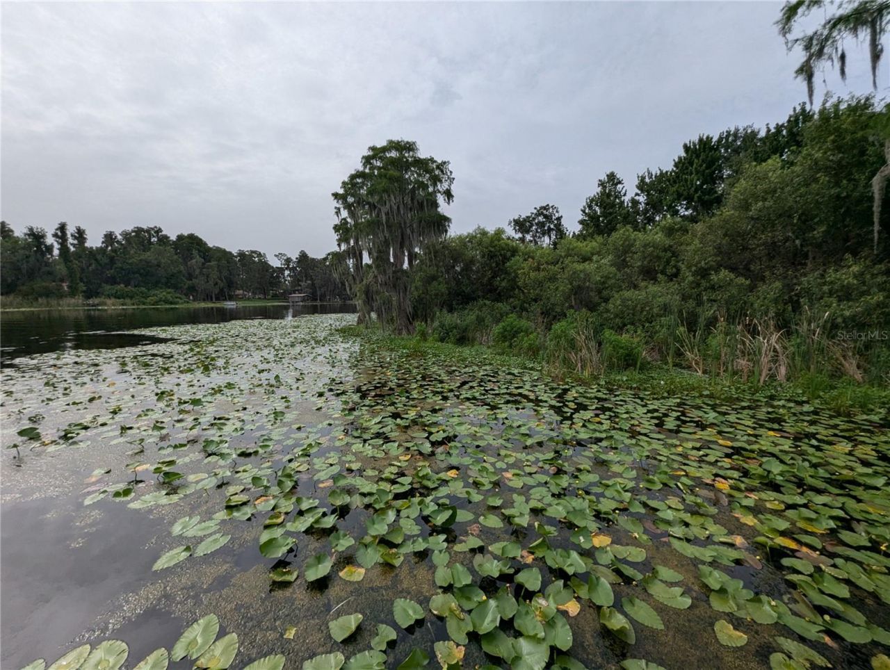 18302 Hanna Road, Lutz, FL 33549 Photo