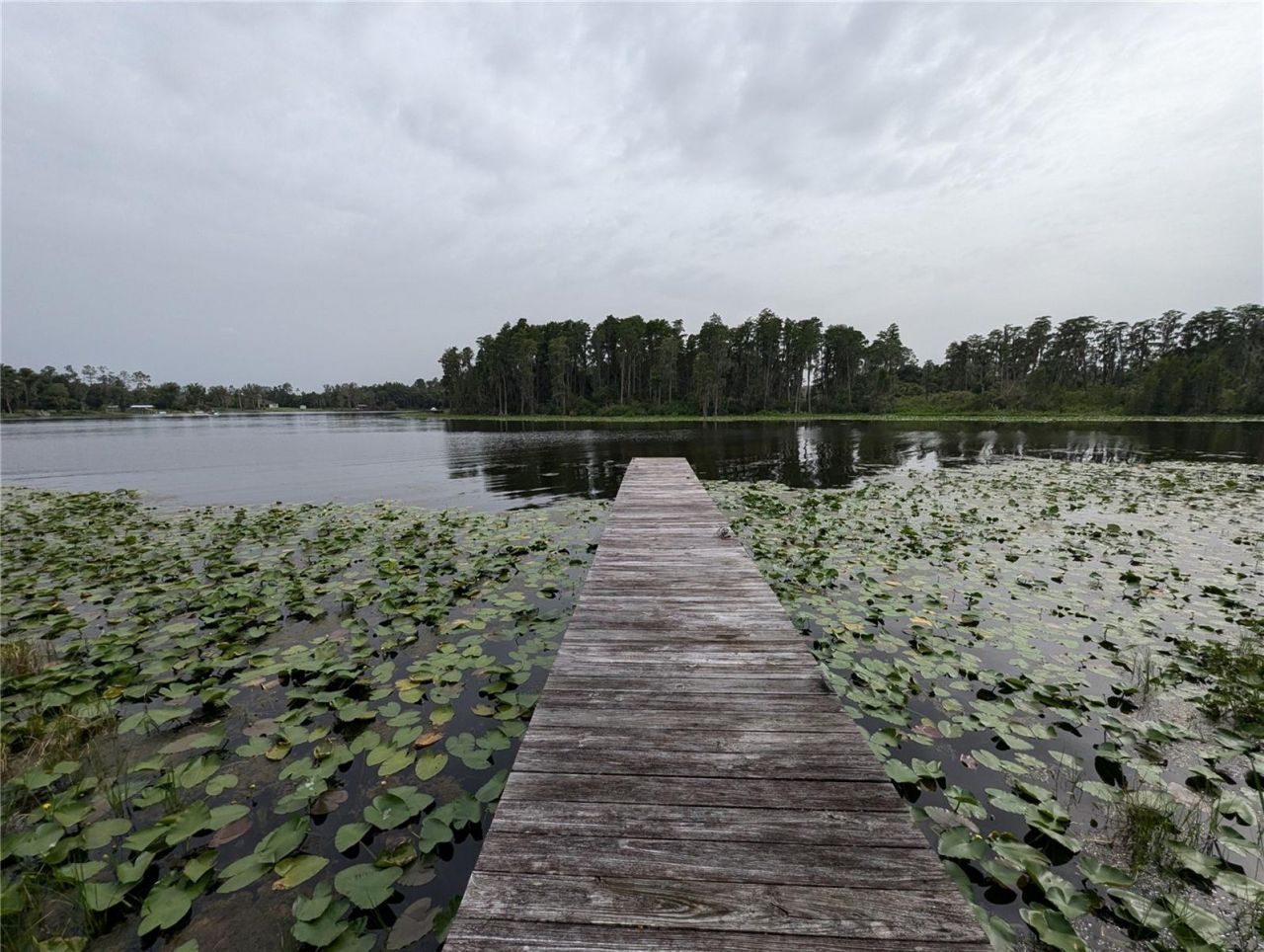 18302 Hanna Road, Lutz, FL 33549 Photo