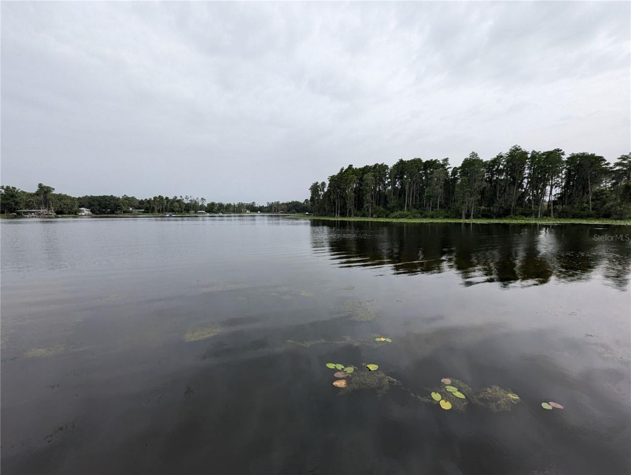 18302 Hanna Road, Lutz, FL 33549 Photo