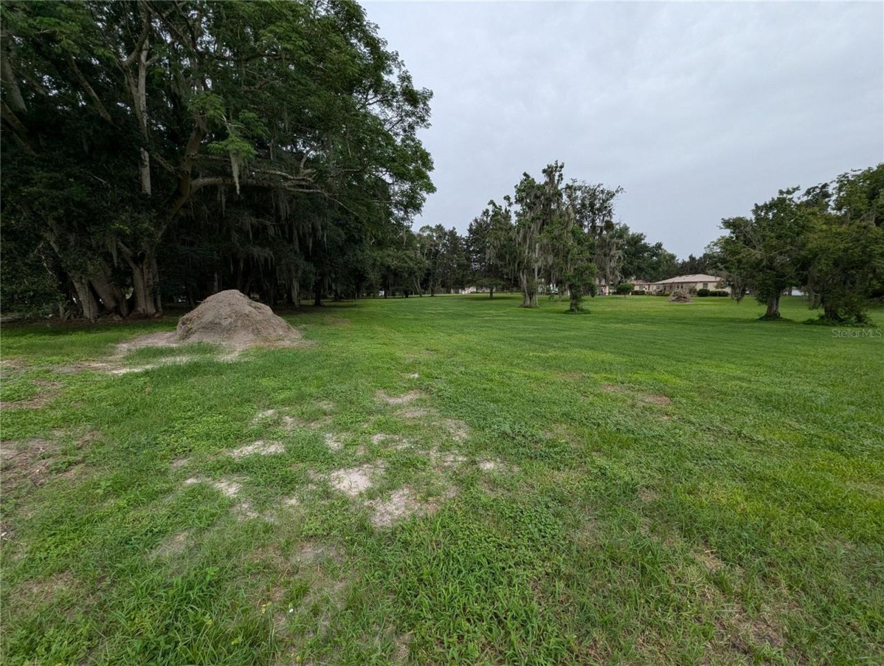 18302 Hanna Road, Lutz, FL 33549 Photo