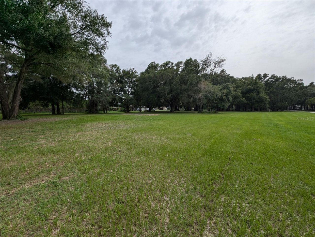 18302 Hanna Road, Lutz, FL 33549 Photo