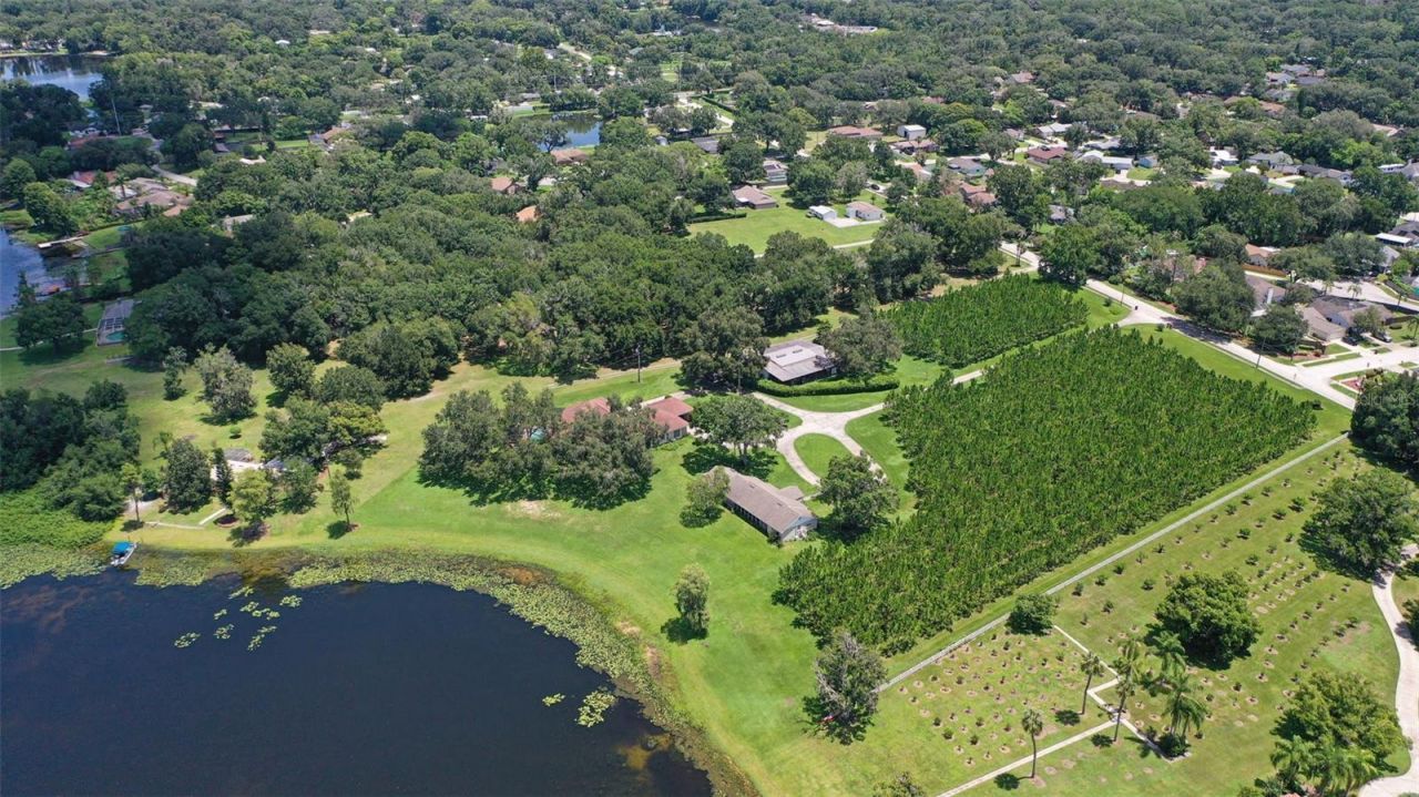 18302 Hanna Road, Lutz, FL 33549 Photo