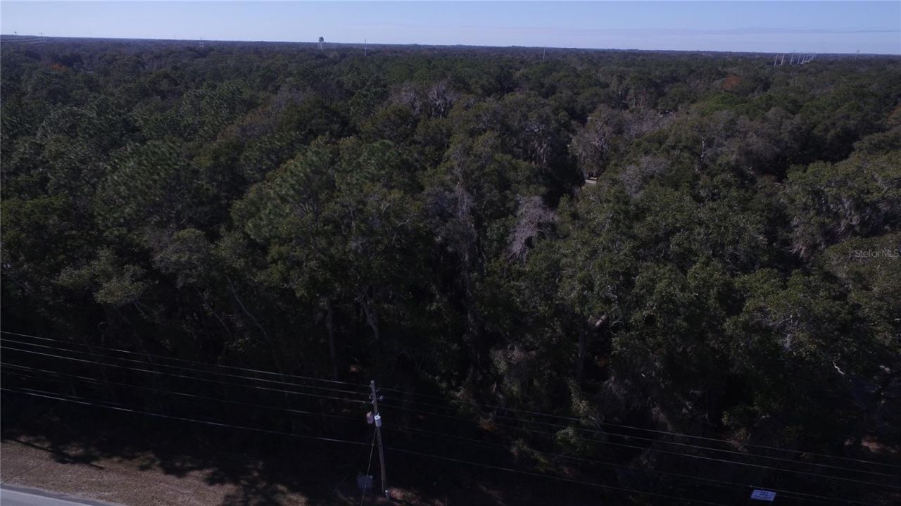Ne 36 Ave Tbd, Ocala, FL 34474 Photo