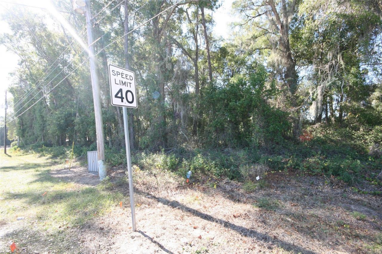 Ne 36 Ave Tbd, Ocala, FL 34474 Photo