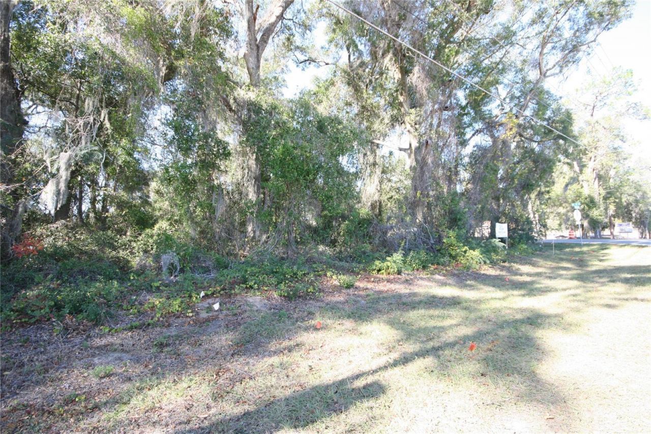 Ne 36 Ave Tbd, Ocala, FL 34474 Photo