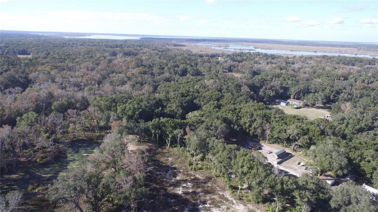 Us Hwy 301-18 Acres, Citra, FL 32113 Photo