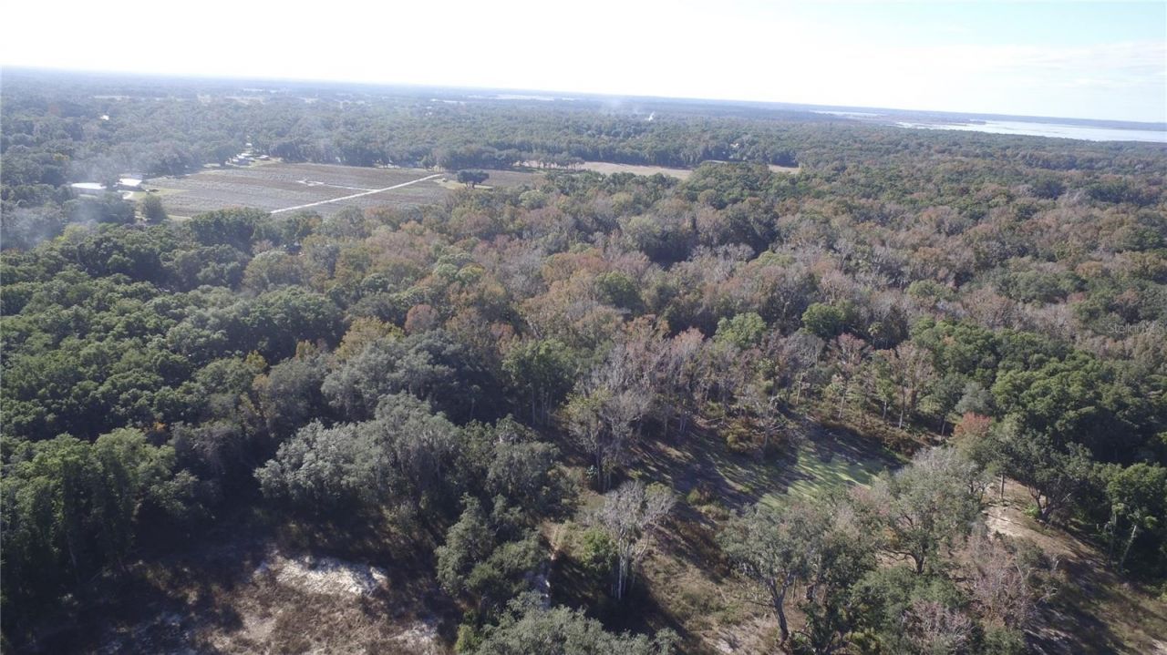 Us Hwy 301-18 Acres, Citra, FL 32113 Photo