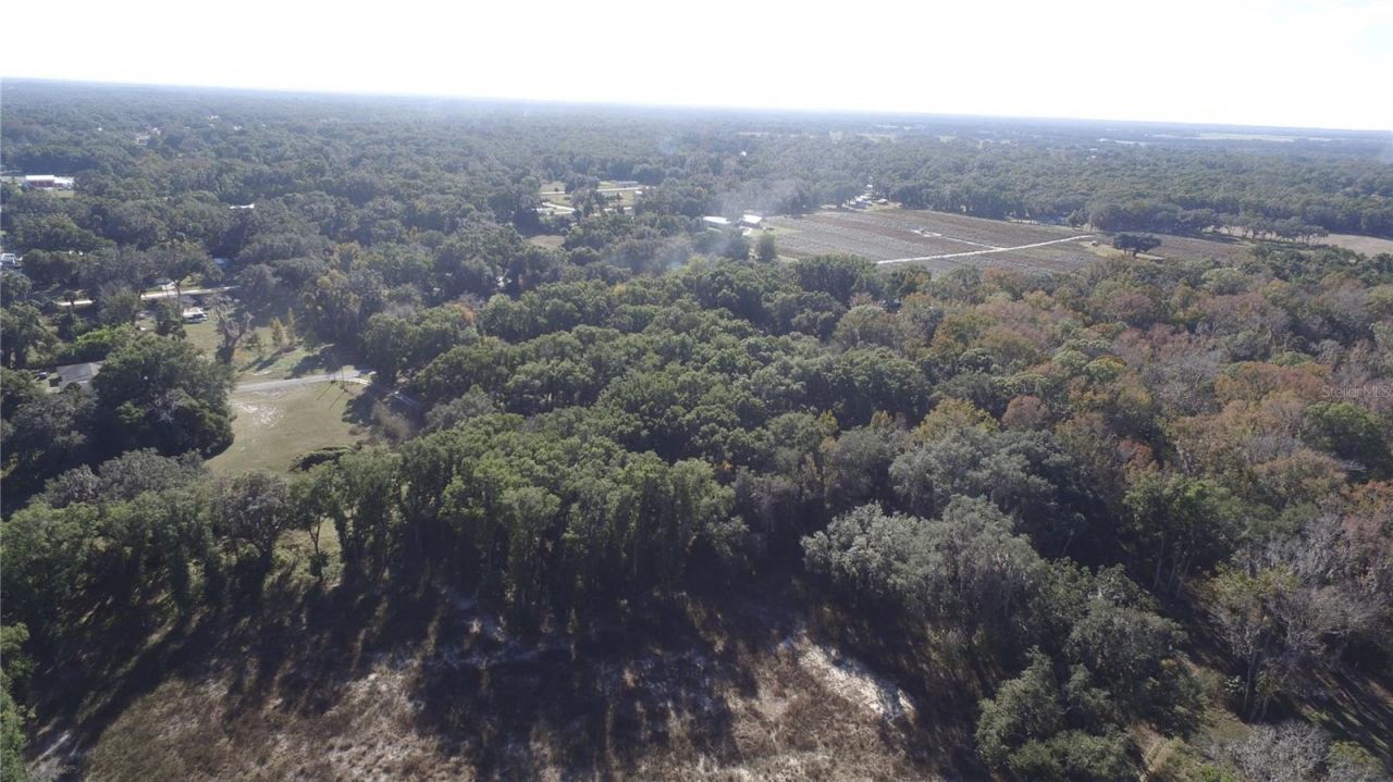 Us Hwy 301-18 Acres, Citra, FL 32113 Photo