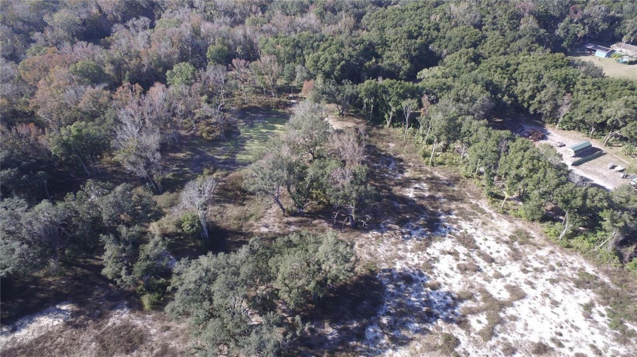 Us Hwy 301-18 Acres, Citra, FL 32113 Photo