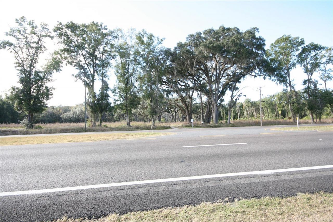 Us Hwy 301-18 Acres, Citra, FL 32113 Photo