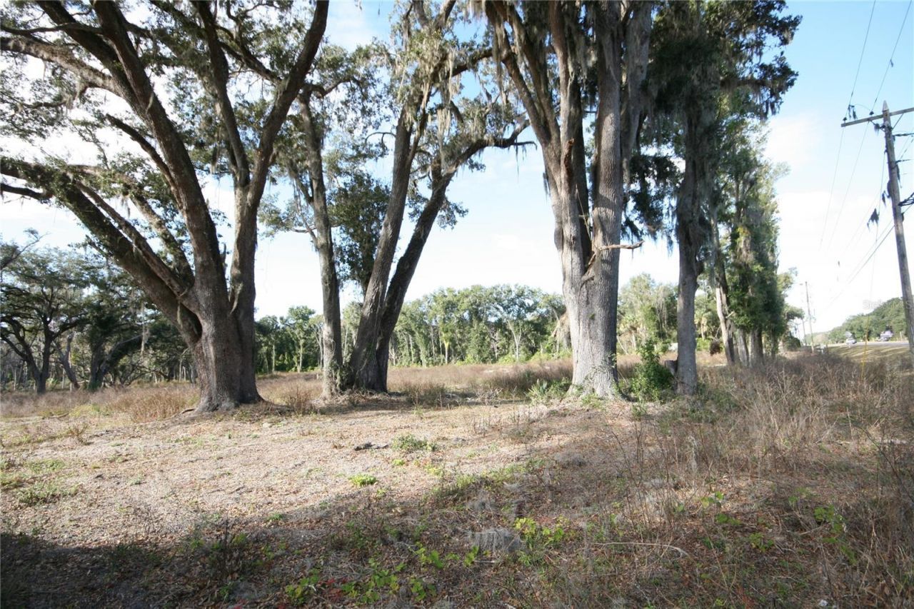 Us Hwy 301-18 Acres, Citra, FL 32113 Photo