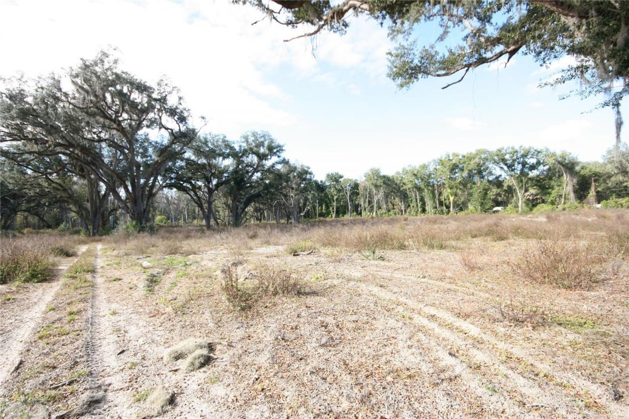 Us Hwy 301-18 Acres, Citra, FL 32113 Photo
