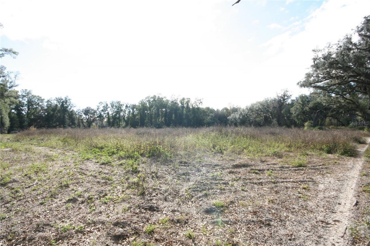 Us Hwy 301-18 Acres, Citra, FL 32113 Photo