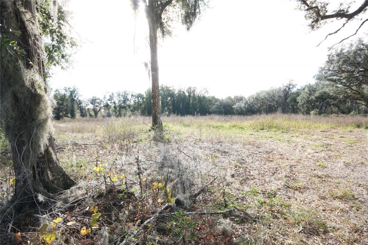 Us Hwy 301-18 Acres, Citra, FL 32113 Photo