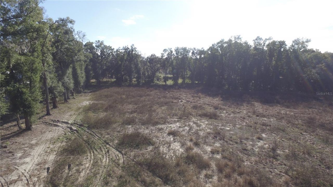 Us Hwy 301-18 Acres, Citra, FL 32113 Photo