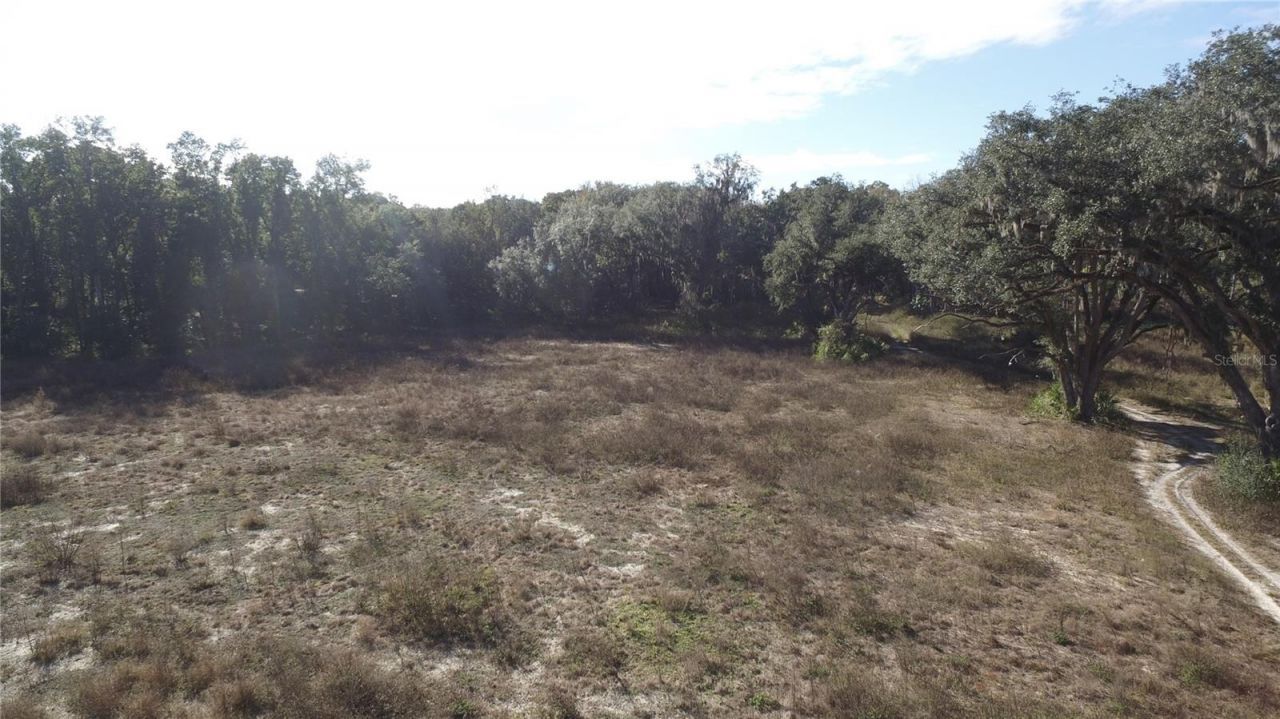 Us Hwy 301-18 Acres, Citra, FL 32113 Photo