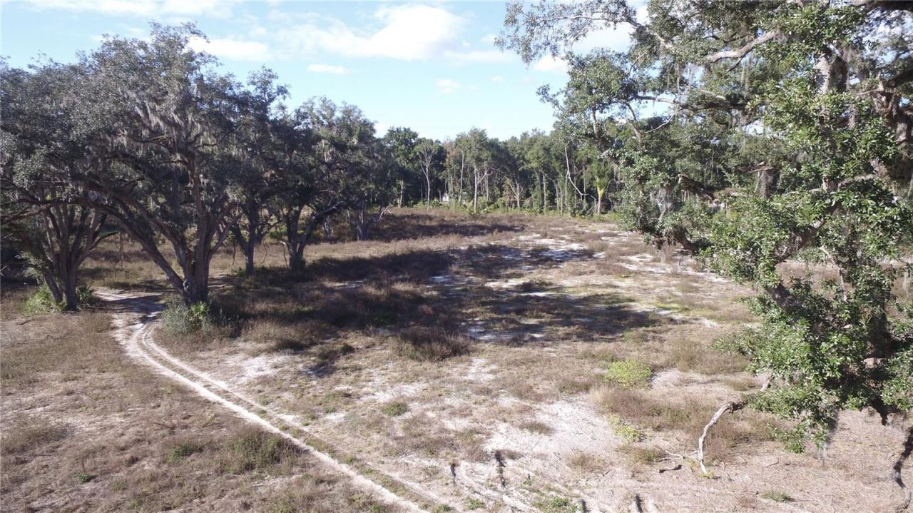 Us Hwy 301-18 Acres, Citra, FL 32113 Photo