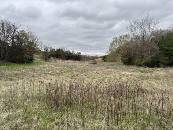 2424 Freshour Hollow Road Road, Parrottsville, TN 37843