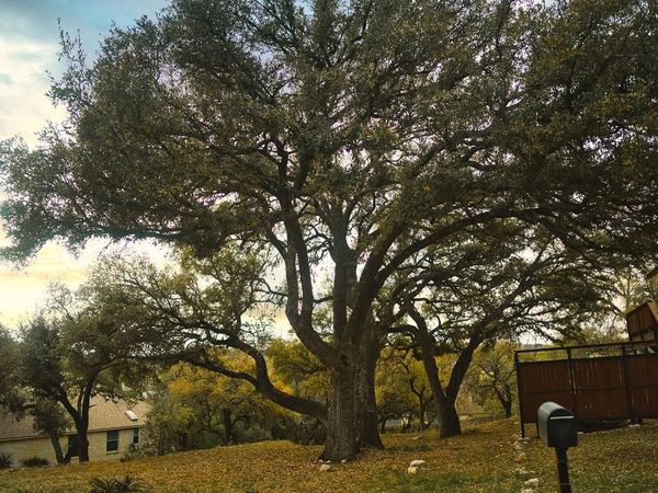 15505 Enid DR, Austin, TX 78734