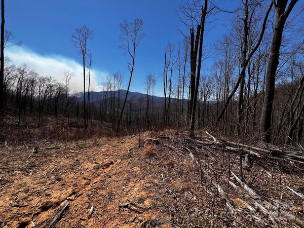 0 Rocky Face Drive, Canton, NC 28716