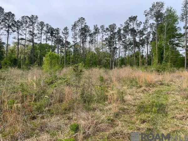 Monica Ln, Hammond, LA 70403