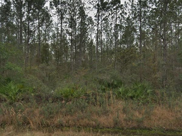 4255 EDWARD STREET, HASTINGS, FL 32145