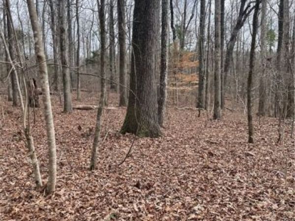 00 Southern Breeze Drive, Tuscaloosa, AL 35405