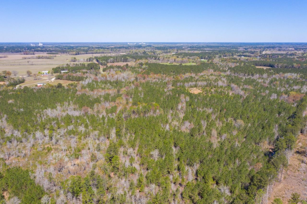 0 Two Churches Road Photo 12