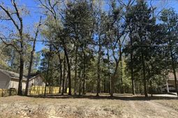 0 Dowling Avenue photo 4