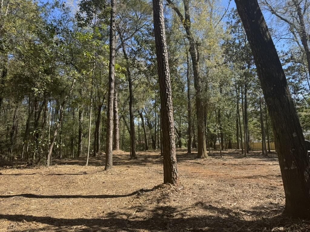 0 Klein Street Photo 10