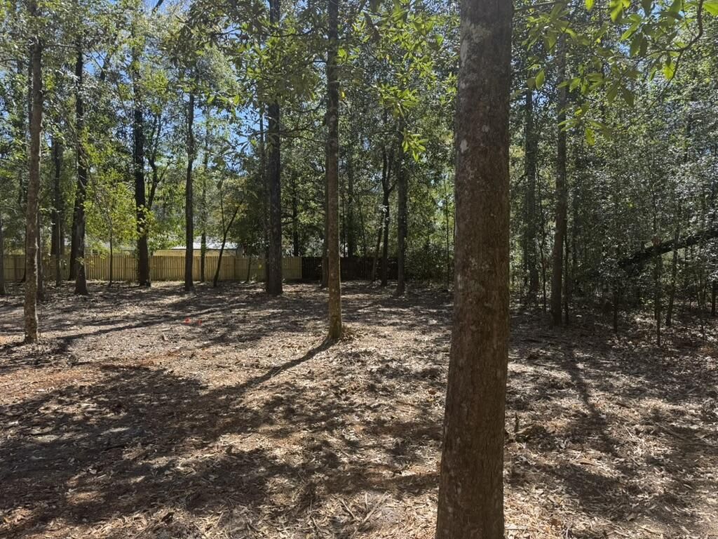 0 Klein Street Photo 11