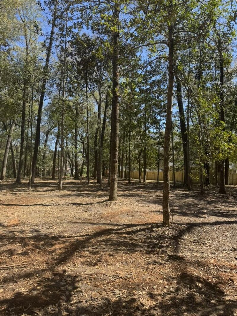 0 Klein Street Photo 12